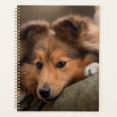 Kutest Baby Animals | Shetland Sheepdog Puppy Planner (Voorkant)