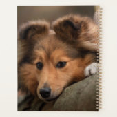 Kutest Baby Animals | Shetland Sheepdog Puppy Planner (Achterkant)