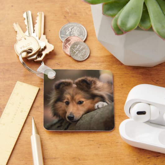 Kutest Baby Animals | Shetland Sheepdog Puppy Sleutelhanger (Bureau)