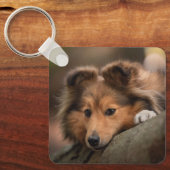 Kutest Baby Animals | Shetland Sheepdog Puppy Sleutelhanger (Voorkant)