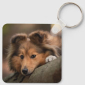 Kutest Baby Animals | Shetland Sheepdog Puppy Sleutelhanger (Achterkant)