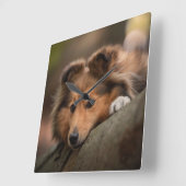 Kutest Baby Animals | Shetland Sheepdog Puppy Vierkante Klok (Hoek)