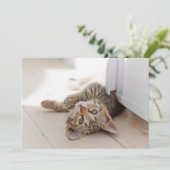 Kutest Baby Animals | Shorthair Tabby Kitten Bedankkaart (Staand voorkant)