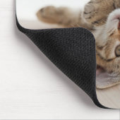 Kutest Baby Animals | Shorthair Tabby Kitten Muismat (Hoek)