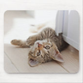 Kutest Baby Animals | Shorthair Tabby Kitten Muismat (Voorkant)