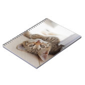 Kutest Baby Animals | Shorthair Tabby Kitten Notitieboek (Linkerzijde)