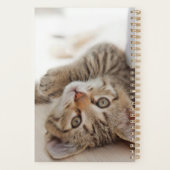 Kutest Baby Animals | Shorthair Tabby Kitten Planner (Achterkant)