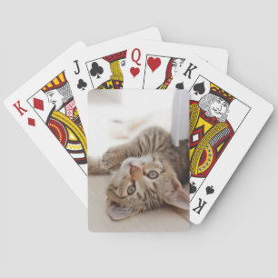 Kutest Baby Animals Shorthair Tabby Kitten Pokerkaarten