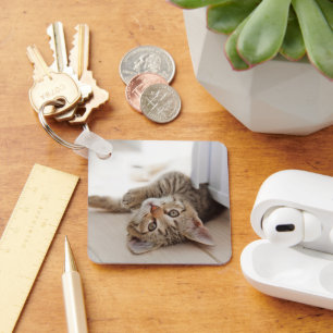 Kutest Baby Animals Shorthair Tabby Kitten Sleutelhanger