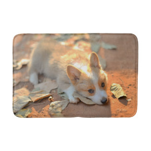 Kutest Baby Animals   Shy Corgi Badmat