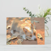Kutest Baby Animals | Shy Corgi Bedankkaart (Staand voorkant)