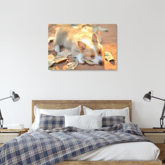 Kutest Baby Animals | Shy Corgi Canvas Afdruk (Insitu (Slaapkamer))