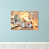 Kutest Baby Animals | Shy Corgi Canvas Afdruk (Insitu (Houten vloer))
