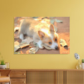Kutest Baby Animals | Shy Corgi Canvas Afdruk (Insitu (Woonkamer))