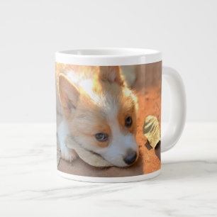 Kutest Baby Animals   Shy Corgi Grote Koffiekop