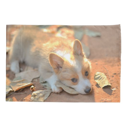 Kutest Baby Animals | Shy Corgi Kussensloop (Achterkant)