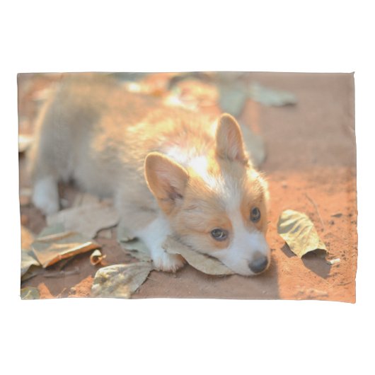 Kutest Baby Animals | Shy Corgi Kussensloop (Voorkant)