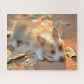 Kutest Baby Animals | Shy Corgi Legpuzzel (Horizontaal)