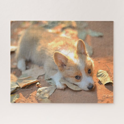 Kutest Baby Animals | Shy Corgi Legpuzzel (Horizontaal)