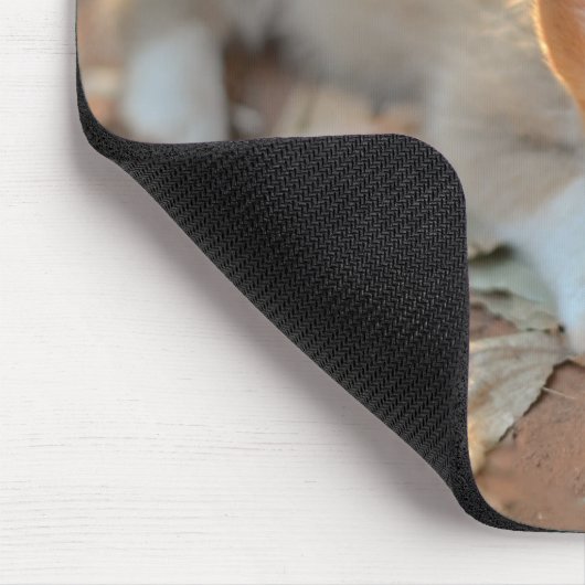 Kutest Baby Animals | Shy Corgi Muismat (Hoek)