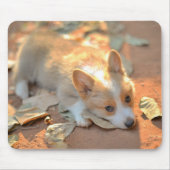 Kutest Baby Animals | Shy Corgi Muismat (Voorkant)