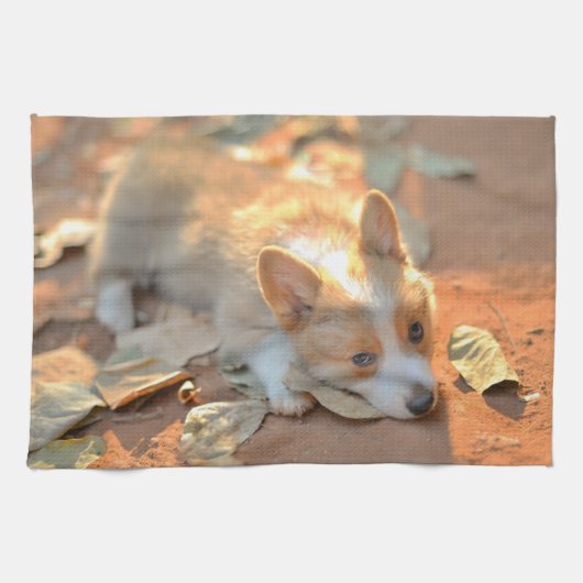 Kutest Baby Animals | Shy Corgi Theedoek (Horizontaal)