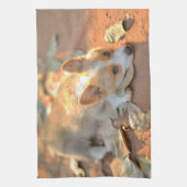 Kutest Baby Animals | Shy Corgi Theedoek (Verticaal)