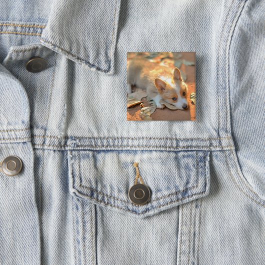 Kutest Baby Animals | Shy Corgi Vierkante Button 5,1 Cm (In situ)