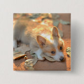 Kutest Baby Animals | Shy Corgi Vierkante Button 5,1 Cm (Voorkant)