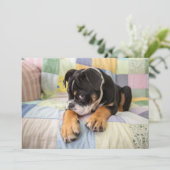Kutest Baby Animals | Shy Old English Bulldog Bedankkaart (Staand voorkant)