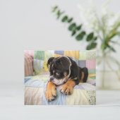 Kutest Baby Animals | Shy Old English Bulldog Briefkaart (Staand voorkant)