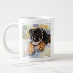 Kutest Baby Animals   Shy Old English Bulldog Grote Koffiekop
