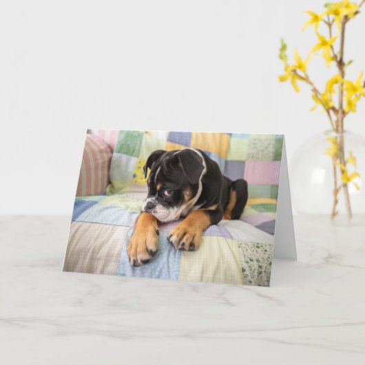 Kutest Baby Animals | Shy Old English Bulldog Kaart (Gele Bloem)