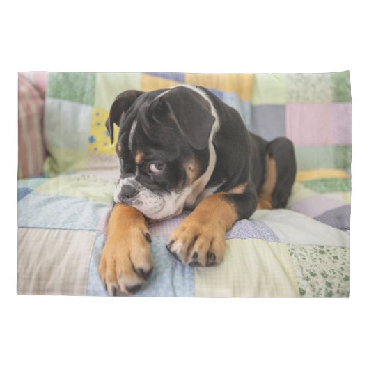 Kutest Baby Animals | Shy Old English Bulldog Kussensloop (Achterkant)