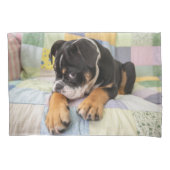 Kutest Baby Animals | Shy Old English Bulldog Kussensloop (Voorkant)