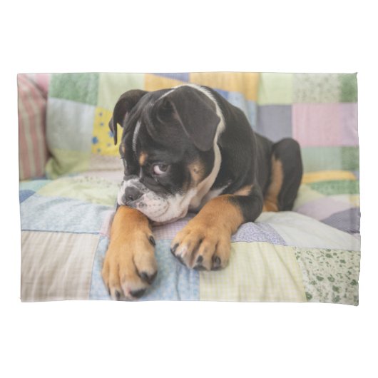 Kutest Baby Animals | Shy Old English Bulldog Kussensloop (Voorkant)