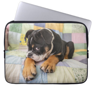 Kutest Baby Animals   Shy Old English Bulldog Laptop Sleeve