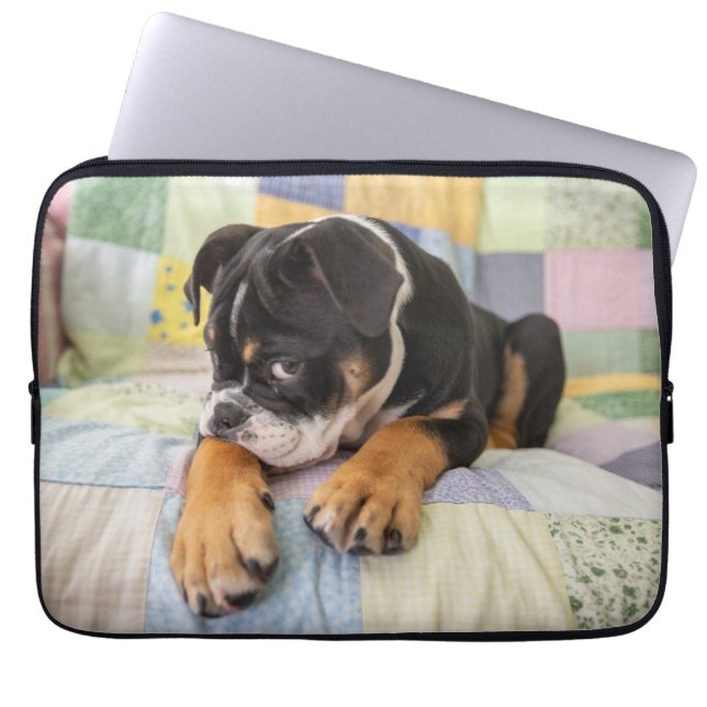 Kutest Baby Animals | Shy Old English Bulldog Laptop Sleeve (Voorkant)