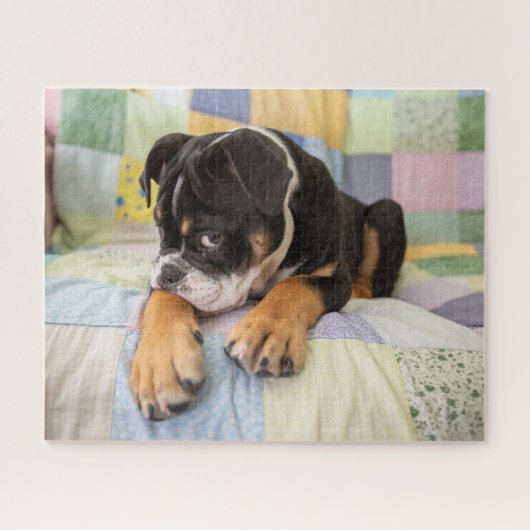 Kutest Baby Animals | Shy Old English Bulldog Legpuzzel (Horizontaal)