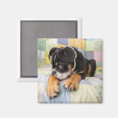 Kutest Baby Animals | Shy Old English Bulldog Magneet (Voorkant / Achterkant)