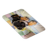 Kutest Baby Animals | Shy Old English Bulldog Magneet (Rechterzijde)