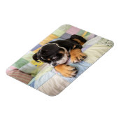 Kutest Baby Animals | Shy Old English Bulldog Magneet (Linkerzijde)