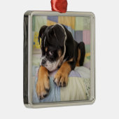 Kutest Baby Animals | Shy Old English Bulldog Metalen Ornament (Rechts)