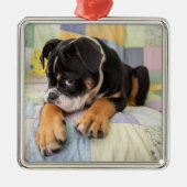 Kutest Baby Animals | Shy Old English Bulldog Metalen Ornament (Voorkant)