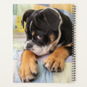 Kutest Baby Animals | Shy Old English Bulldog Planner (Achterkant)