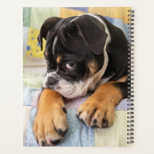 Kutest Baby Animals | Shy Old English Bulldog Planner (Achterkant)