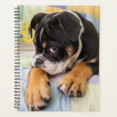 Kutest Baby Animals | Shy Old English Bulldog Planner (Voorkant)