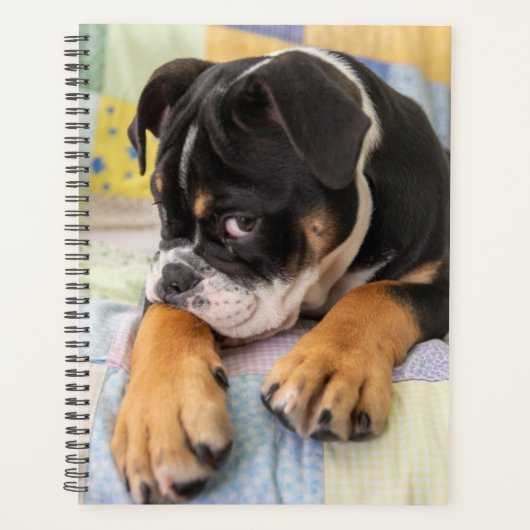 Kutest Baby Animals | Shy Old English Bulldog Planner (Voorkant)
