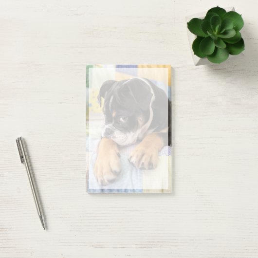 Kutest Baby Animals | Shy Old English Bulldog Post-it® Notes (Kantoor)