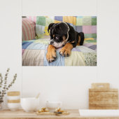 Kutest Baby Animals | Shy Old English Bulldog Poster (Keuken)